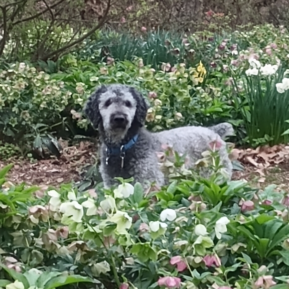 Meet your Posher, Angela - Picture 3 of 3